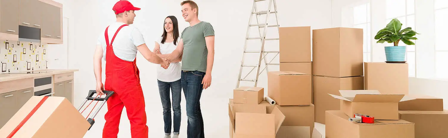 Bingöl Kurumsal Taşıma