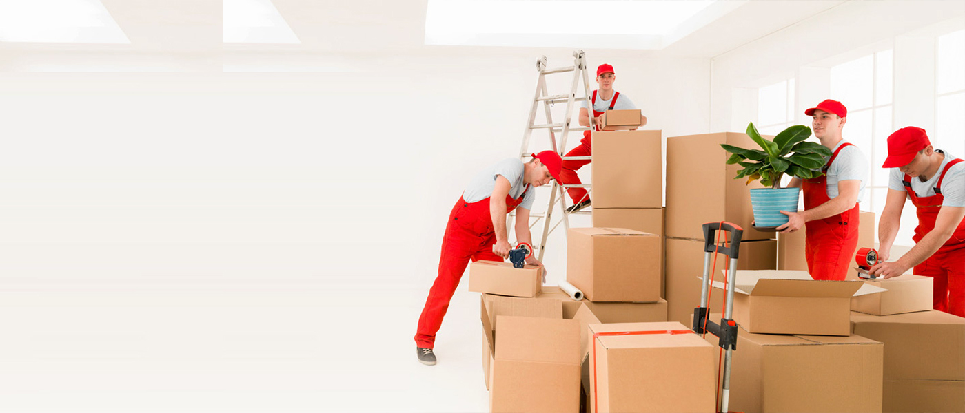 Bingöl Evden Eve Nakliyat